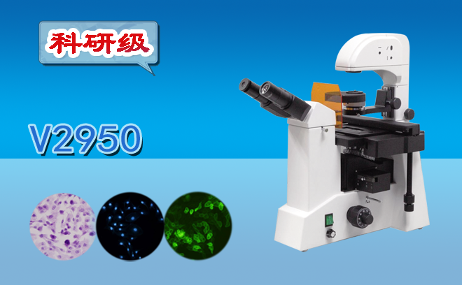 熒光顯微鏡的使用方法是什么？還不趕快收好這份使用手冊